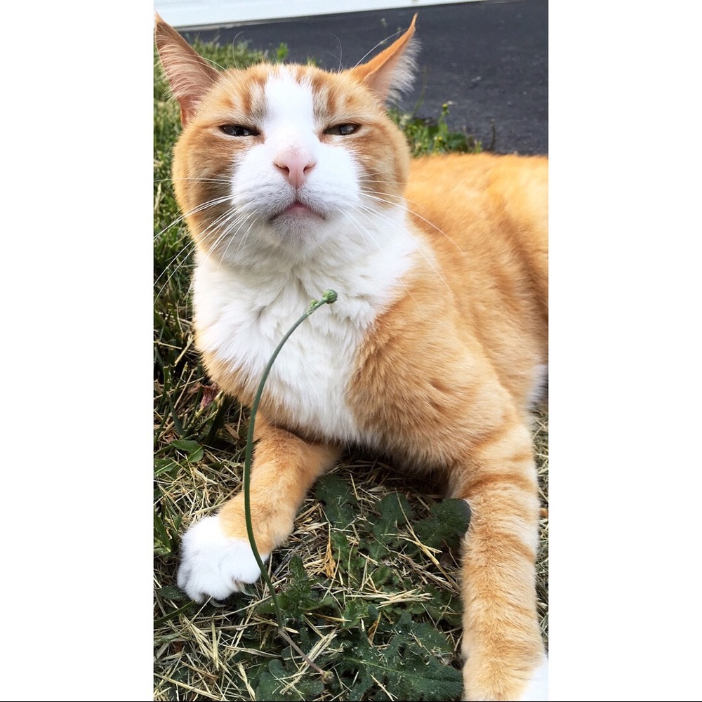 Meet your Posher, Uma